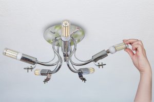 Zastępując lampy w żyrandolu pokojowym, żeńska ręka instaluje kukurydzianą lampę LED w uchwycie lampy.