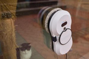 Mięsożerc Felidae z wąsami obserwujący mały robot do czyszczenia okien