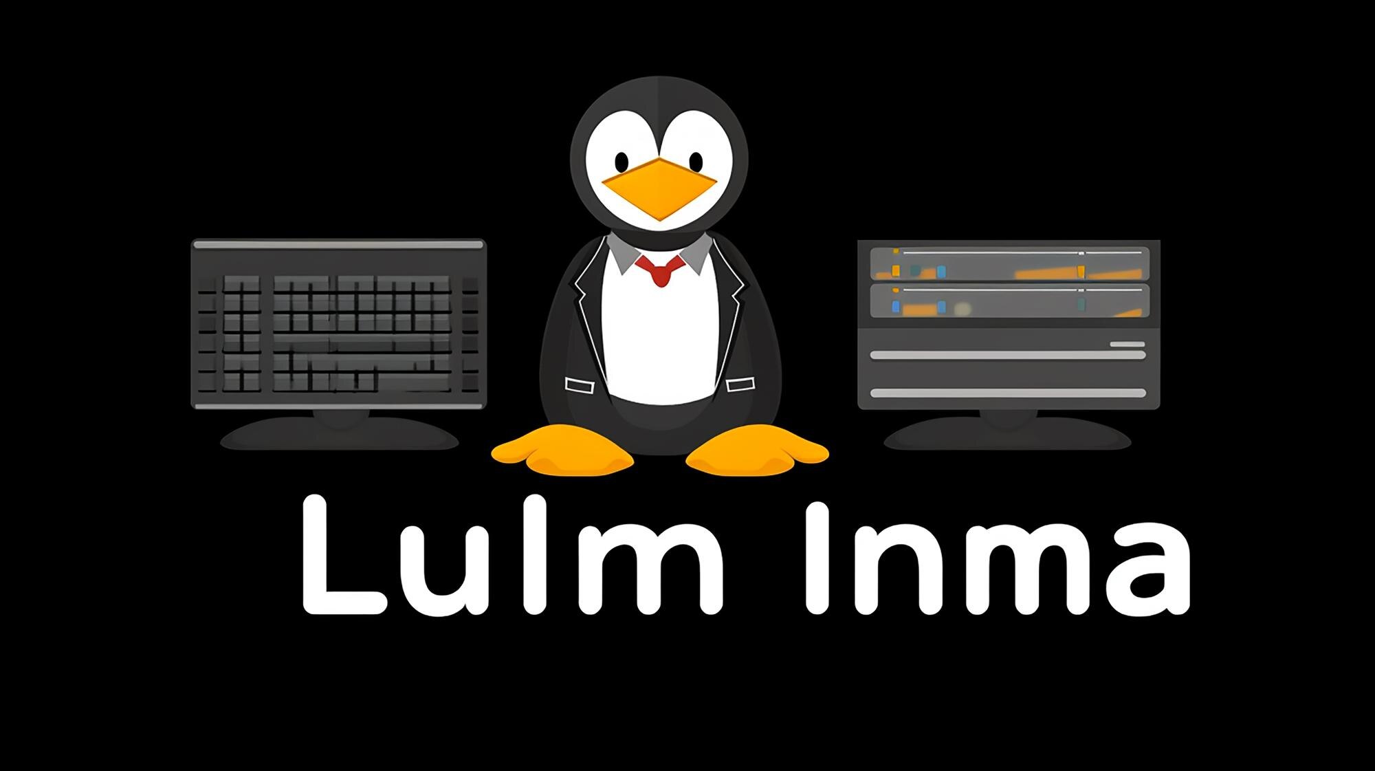 Admin Linux Raw AR 169 Stylizacja