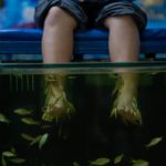 Zbliżenie czasu relaksu w spa dla ryb