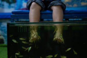 Zbliżenie czasu relaksu w spa dla ryb