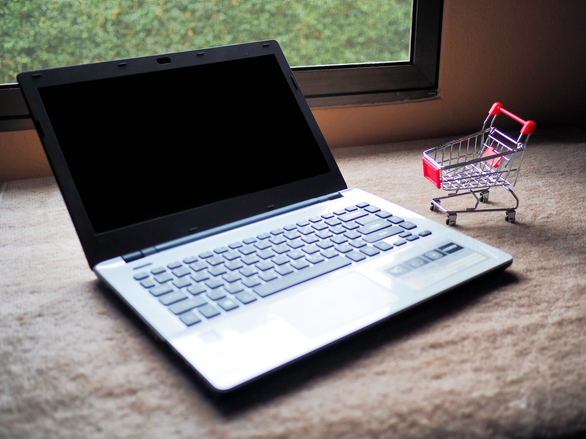 Internetowy sprzedawca biznesowy