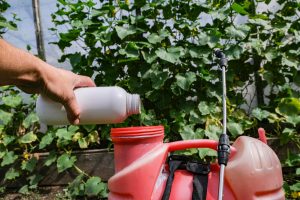 Jak podłączyć opryskiwacz? Filtr, rozwadniacz