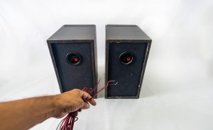 Profesjonalny głośnik o bardzo dobrej jakości dźwięku
