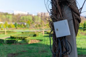 Zewnętrzna skrzynka użytkowa zamontowana na betonowym słupie owiniętym w winorośl z zielonym parkiem krajobrazowym i odległymi budynkami w tle