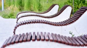 wąż jest na znaku przed znakiem z napisem „wąż”.