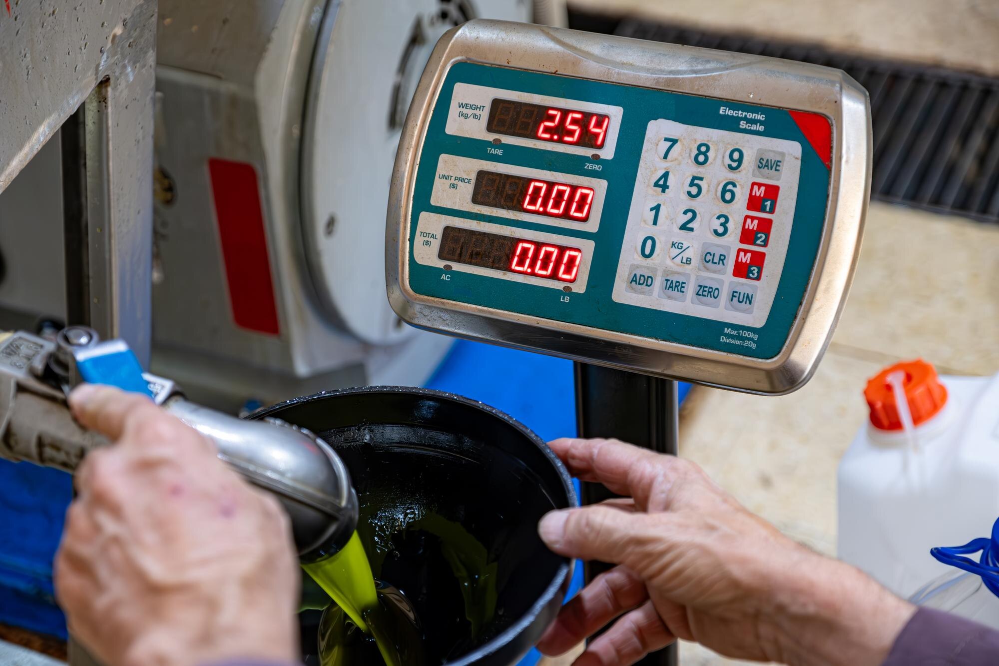 Staruszek w fabryce tłoczenia oleju z oliwek napełnia plastyczne galonki za pomocą lejek i wagi