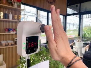 Przycięta ręka kobiety trzymającej kompas nawigacyjny